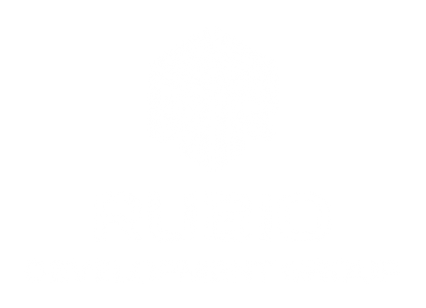 Rubio Development Group